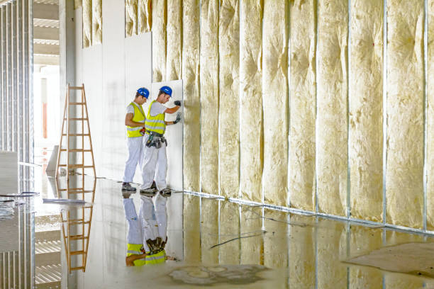 Best Types of Insulation in Red Corral, CA